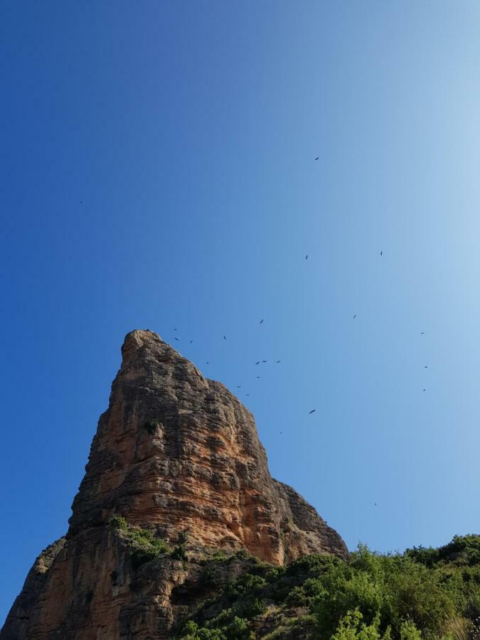 Natura Jordan Murillo de Gállego Zewnętrze zdjęcie